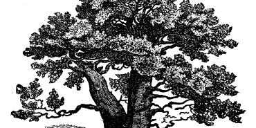 Our Theological Family Tree