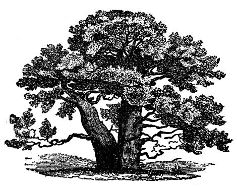 Our Theological Family Tree