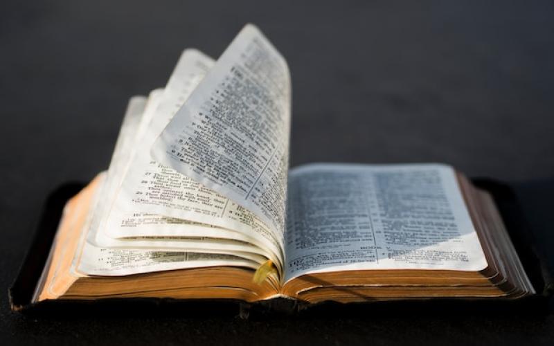 Como Ler a Bíblia Mudou a Minha Vida