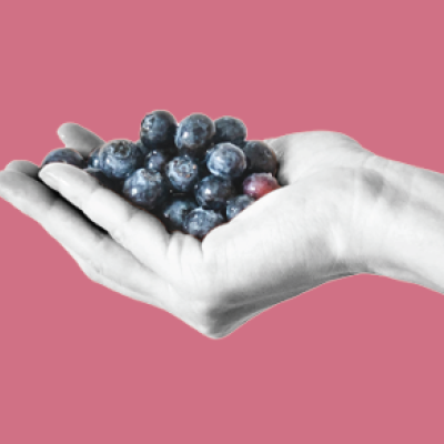 Nada nuevo bajo el sol, hasta que llegó Jesús.