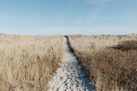 fullness in christ