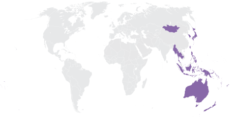 RÉGION ASIE-PACIFIQUE: FAITS SAILLANTS QUADRIENNAUX