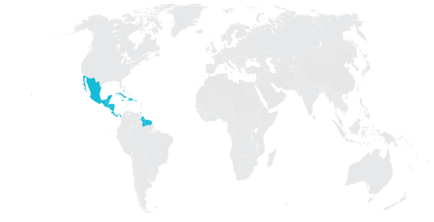 MESOAMÉRICA REGION: ASPECTOS DESTACADOS DEL CUATRIENIO