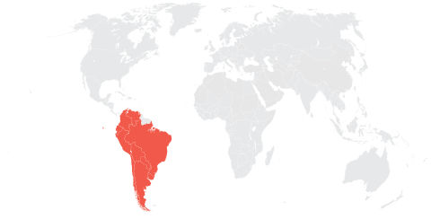 REGIÃO DA AMÉRICA DO SUL: DESTAQUES QUADRIENAIS