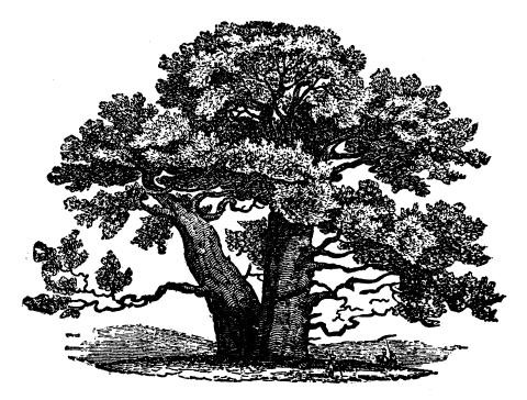 Our Theological Family Tree