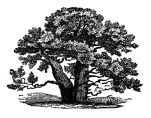 우리의 신학적 가계도